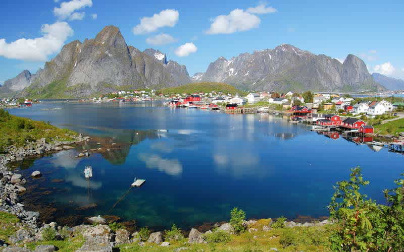 Reine